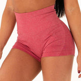 Shorts Fitness Cintura Alta - Penny Lane